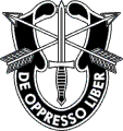 Special Forces Crest