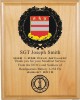 Army Color + Laser Plaque Page