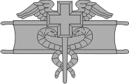 Expert Medical Badge