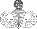 Master Parachutist's Wings