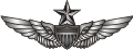 Army Senior Aviator Wings