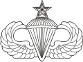 Senior Parachutist's Wings