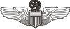 Command Pilot Wings