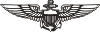 NAVY Pilot Wings