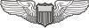 USAF Pilot Wings