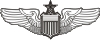 Senior Pilot Wings