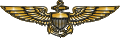Navy Wings