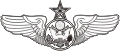 USAF Senior Air Crew Enlisted Wings