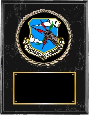United States Air Force Plaque Group A Style from Military & Government Awards