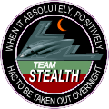 Team Stealth B-2 Bomber