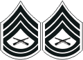 USMC Gunnery Sergeant E7