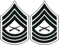 USMC Master Sergeant E8